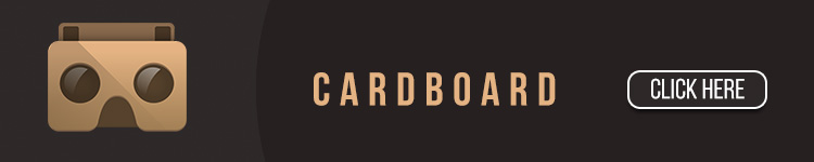 CardBoard